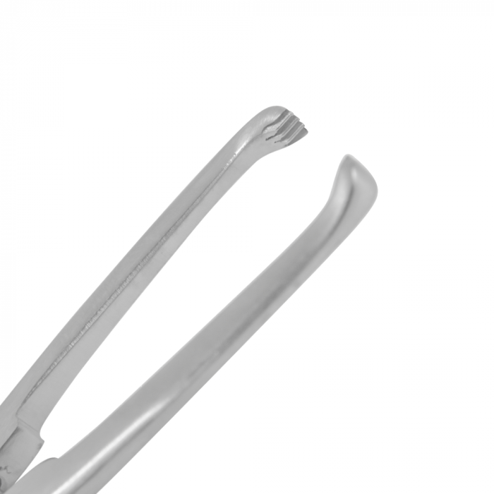 Pinça Allis 15 cm - Imagem 2